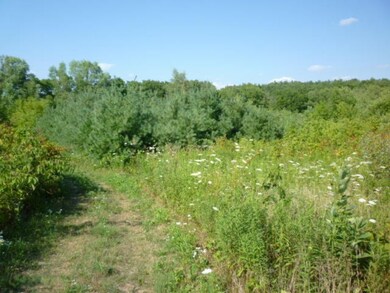 Vacant Land 10 acres 04
