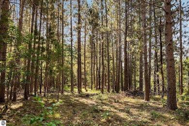 794 M-72 E, Grayling, MI 49738 - photo 3