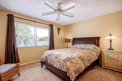 9534 W Appaloosa Dr, Sun City, AZ 85373 - photo 7