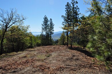 0 Pair-A-dice Ranch Rd unit 102988472, Jacksonville, OR 97530 - photo 3
