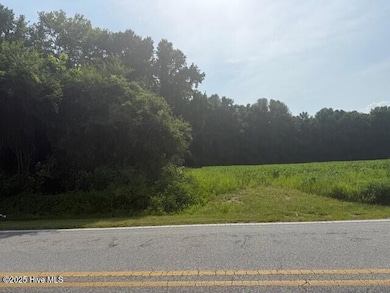 0 Wise Store Rd Lot 4, Murfreesboro, NC 27855 - photo 2