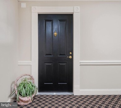 4800 Coyle Rd unit 503, Owings Mills, MD 21117 - photo 5