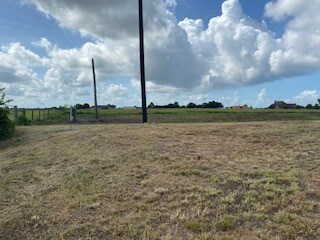 10351 Bushnell Rd, Needville, TX 77461 - photo 5