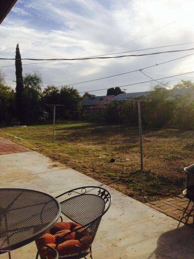 backyard2