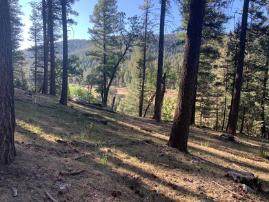 0 Canyon Trail unit 85 168237, Cloudcroft, NM 88317 - photo 6