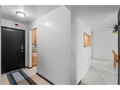 Irvine Hill Condominiums unit 301, Saint Paul, MN 55102 - photo 4