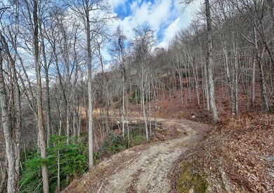 Lot 20 Walnut Cove Branch, Robbinsville, NC 28771 - photo 3