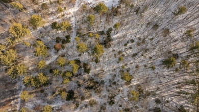 Lot 56-3 Chester Rd, Auburn, NH 03032 - photo 5