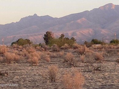 IMG-6206
