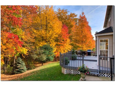 WOODED BACK YARD IS GORGEOUS