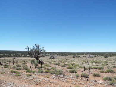 View West