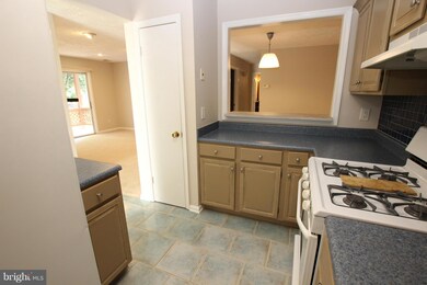 10050 Oakton Terrace Rd unit 10050, Oakton, VA 22124 - photo 7