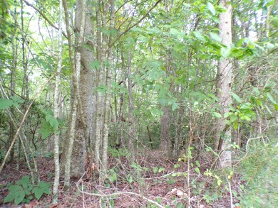 100_0810 - Copy