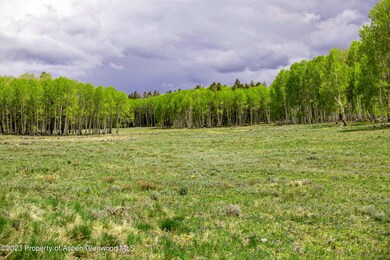 IMG_0255