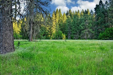 50000 Highway 62, Prospect, OR 97536 - photo 3