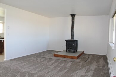 12 Cedar Dr, Norwood, CO 81423 - photo 5