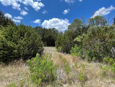 2623 Creekview Dr, Granbury, TX 76048 - photo 4