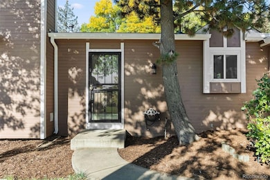 11537 Marshall St, Westminster, CO 80020 - photo 7