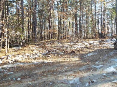 117 Gorman Terrace, Wakefield, NH 03872 - photo 3