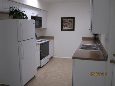New Cabinets/Counters/Sink/Microwave