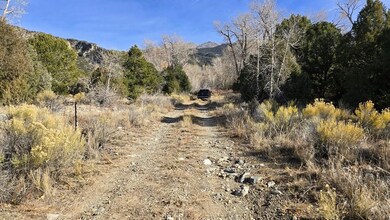 126 Cedar Ridge Rd, Mosca, CO 81146 - photo 7