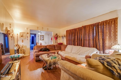 104 N 3rd Ave, Jonesborough, TN 37659 - photo 7