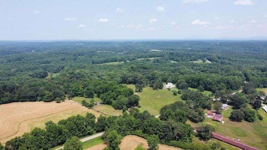 7286 County Line Rd, Lula, GA 30554 - photo 7