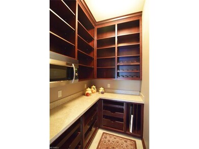 Huge walk-in pantry