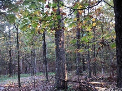 614 Cr 765, Brookland, AR 72417 - photo 4