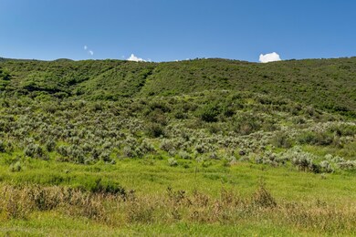 meadow