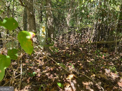 106 Maple Glen Ct, Centerville, GA 31028 - photo 6