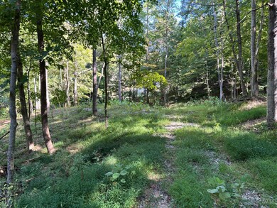 0 Coon Hollow Rd, Lucasville, OH 45648 - photo 4
