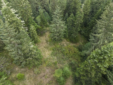 000 Williams Creek Rd, Ferndale, CA 95536 - photo 6