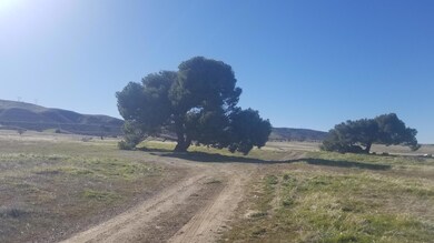 102 Stw Vic Ave E12, Metler Valley, CA 93536 - photo 7