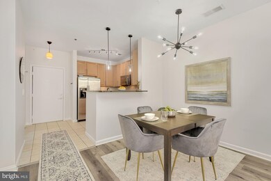 Silverton Condominiums, Silver Spring, MD 20910 - photo 5