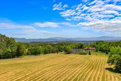 DJI_0223-SMALL