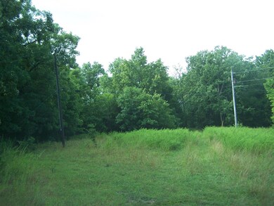 100_3399 (Large)