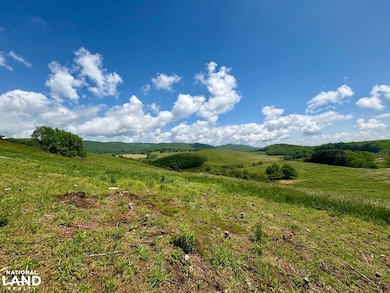 0 Horne Hollow Rd Tract B, Sugar Grove, VA 24375 - photo 7