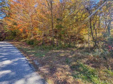 Dixon Run -03