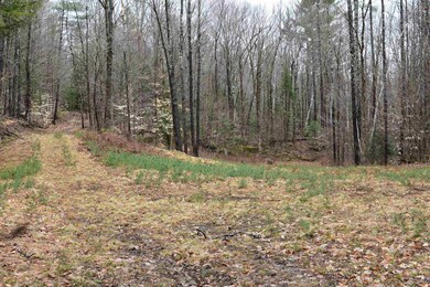 0 E Side Rd unit 4905806, Wentworth, NH 03223 - photo 6