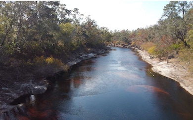 344 NW Null Rd, White Springs, FL 32096 - photo 7