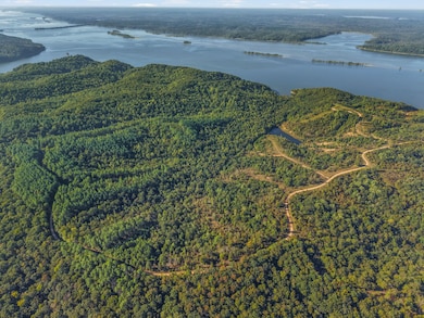 0 Shores Trail unit RTC2957908, Stewart, TN 37175 - photo 4