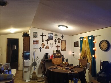 614 Hanging Tree Rd, Bowie, TX 76230 - photo 5