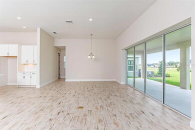 6102 Hidden Branch Dr, Apollo Beach, FL 33572 - photo 5