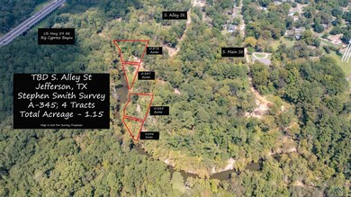 000 S Alley St unit Big Cypress River, Jefferson, TX 75657 - photo 3