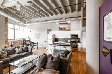 Tower Lofts unit 208, Chicago, IL 60657 - photo 3