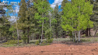 26 N Eldorado Cir, Florissant, CO 80816 - photo 4