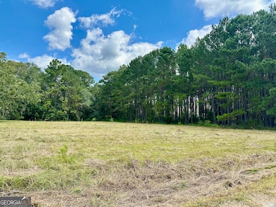 3360 Strickland Avenue Extension, Blackshear, GA 31516 - photo 3