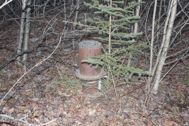 1490 well.JPG