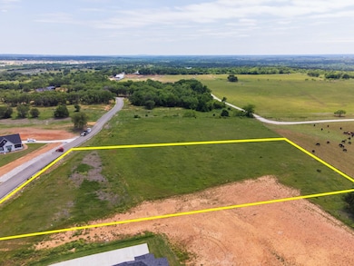 154 Hansma Way, Weatherford, TX 76087 - photo 3